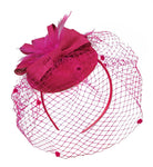 Fuchsia Hot Pink Birdcage Veil Pillbox Bow Sinamay Headband Fascinator Weddings Ascot Hatinator Races
