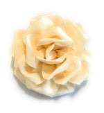 15cm Large Rose Fascinator Corsage Hair Clip and Brooch Pin, Satin Flower, Ivory Cream