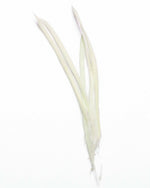 Long Fascinator Feathers Stripped Goose Biot Millinery Hats Trimmings Coloured