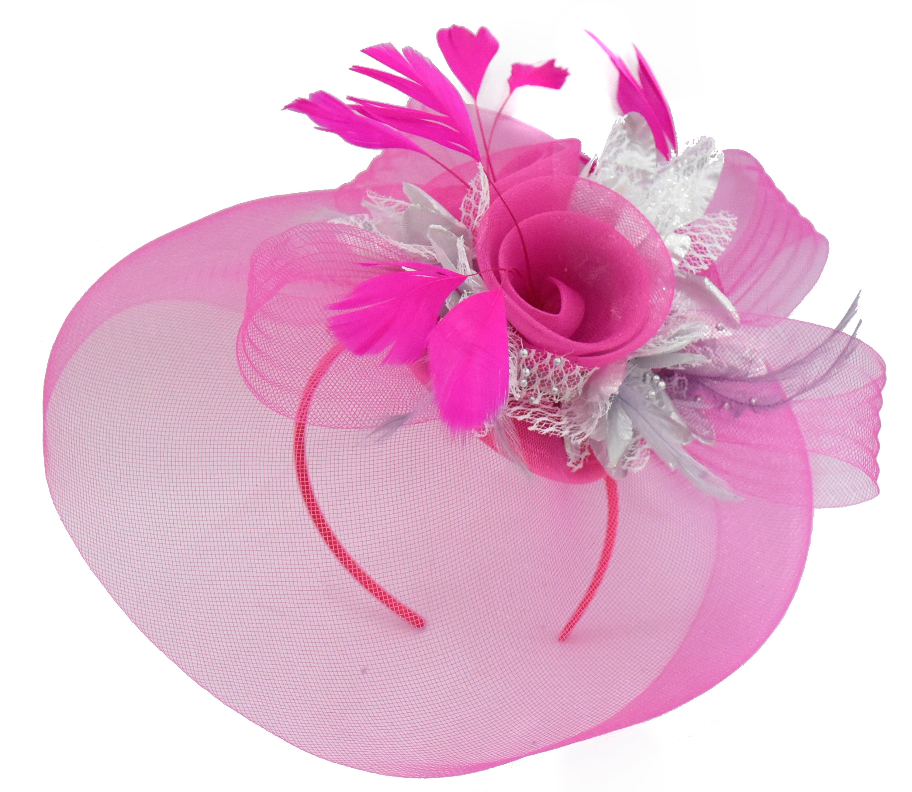 Caprilite Fuchsia Hot Pink and Silver Fascinator Hat Veil Net Hair Clip Ascot Derby Races Wedding Headband Feather Flower
