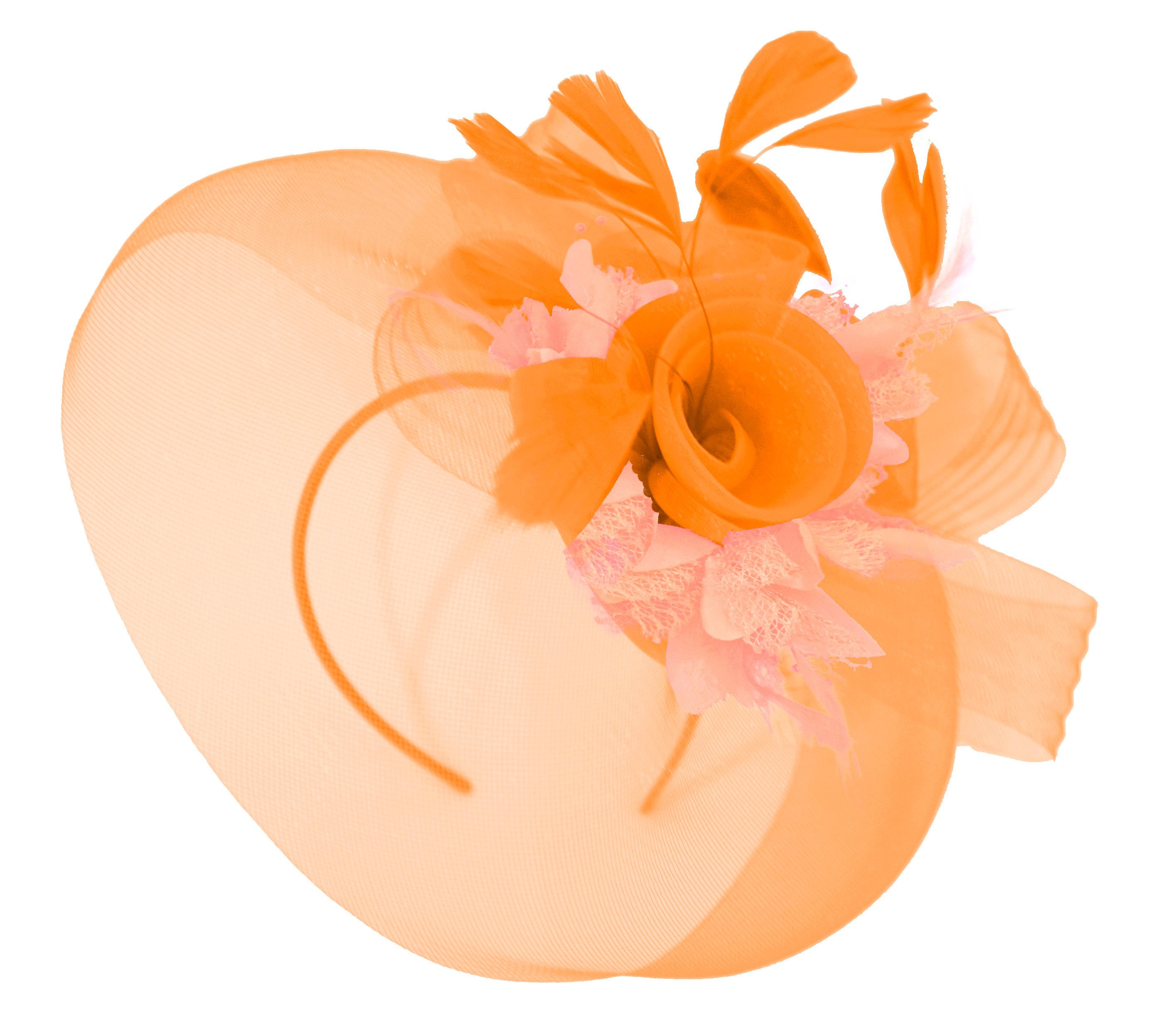 Caprilite Orange and Peach Fascinator Hat Veil Net Hair Clip Ascot Derby Races Wedding Headband Feather Flower
