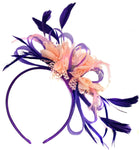 Caprilite Purple Hoop & Baby Pink Feathers Fascinator On Headband